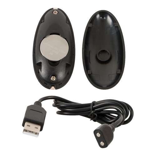 Thumping Anus Butt Plug