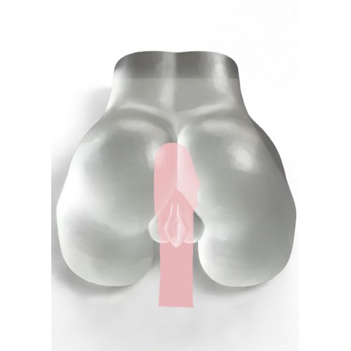 Bangers - See-Through Fuckable Pussy Toy