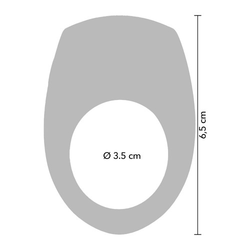 Vicious Vibrating Ring & Remote